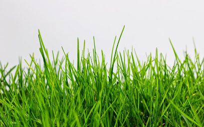 Southland Environmental